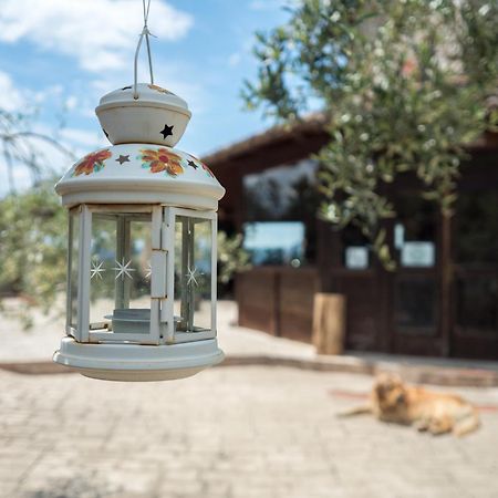 Villa De Luccheri Frasso Telesino Εξωτερικό φωτογραφία