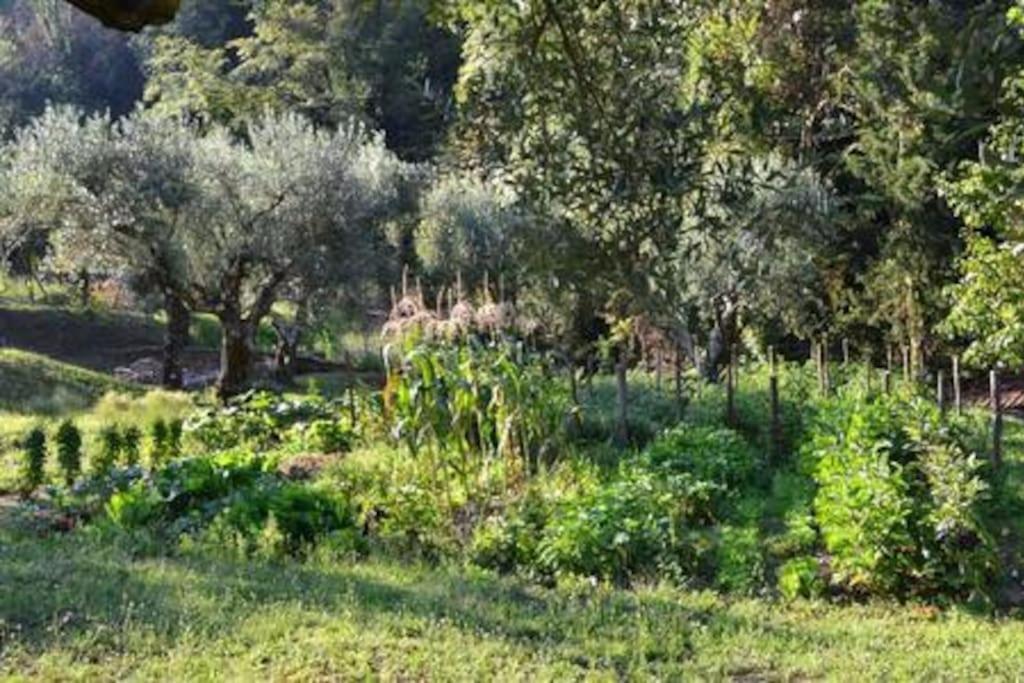 Villa De Luccheri Frasso Telesino Εξωτερικό φωτογραφία