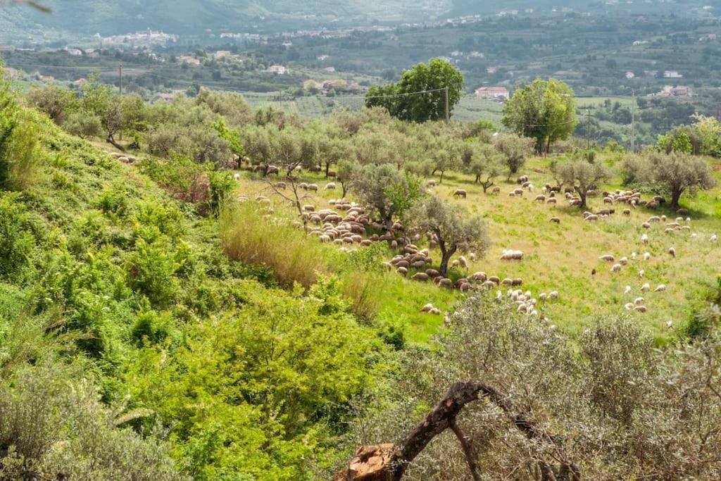Villa De Luccheri Frasso Telesino Εξωτερικό φωτογραφία