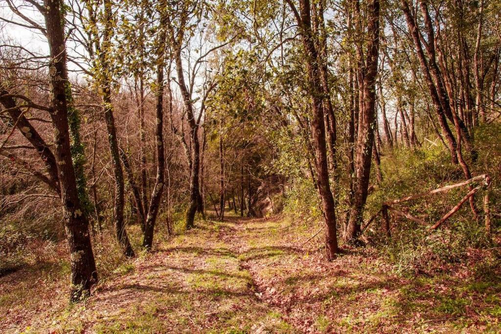 Villa De Luccheri Frasso Telesino Εξωτερικό φωτογραφία