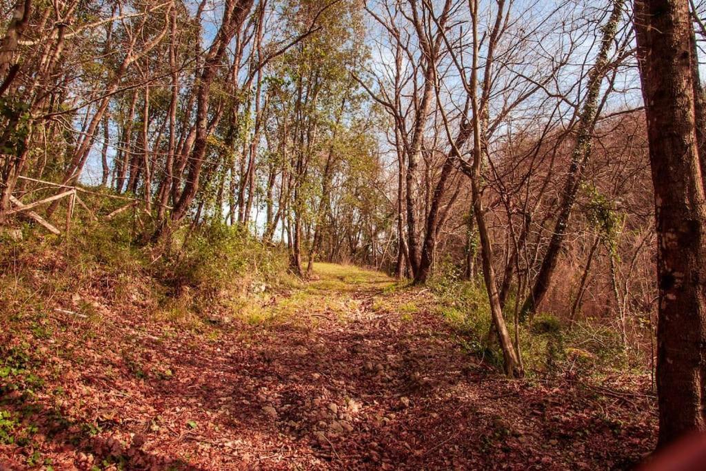 Villa De Luccheri Frasso Telesino Εξωτερικό φωτογραφία