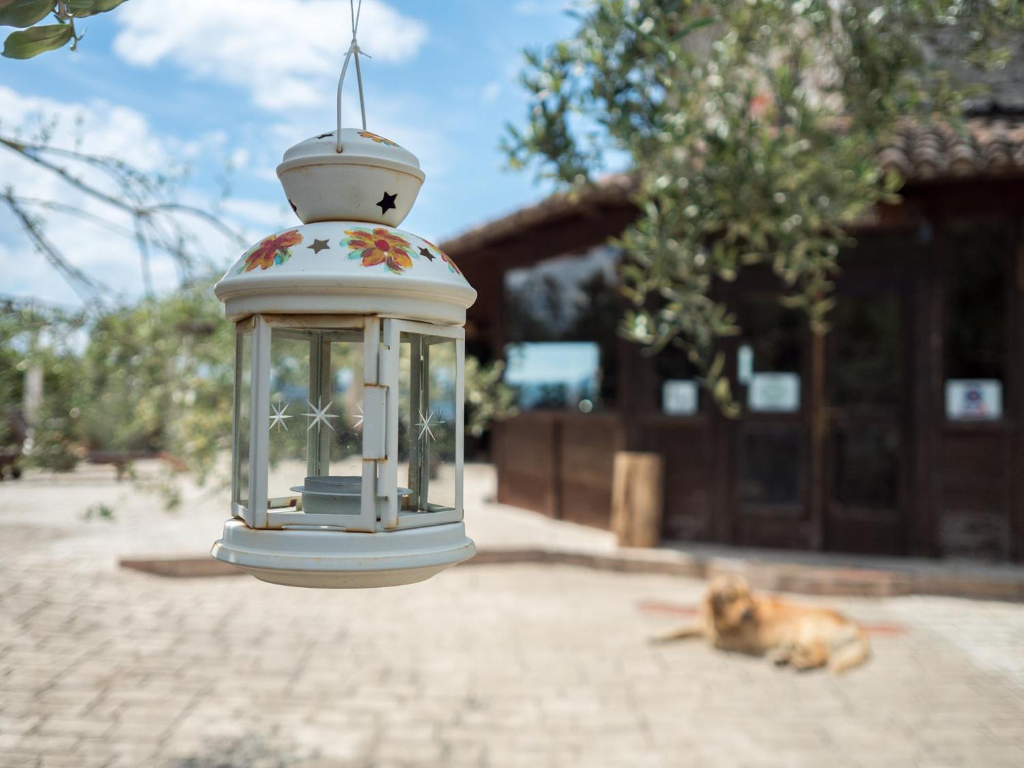 Villa De Luccheri Frasso Telesino Εξωτερικό φωτογραφία