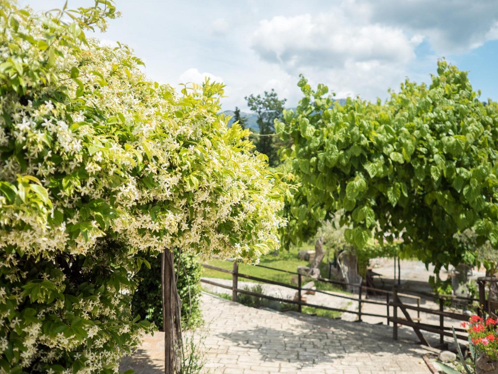 Villa De Luccheri Frasso Telesino Εξωτερικό φωτογραφία