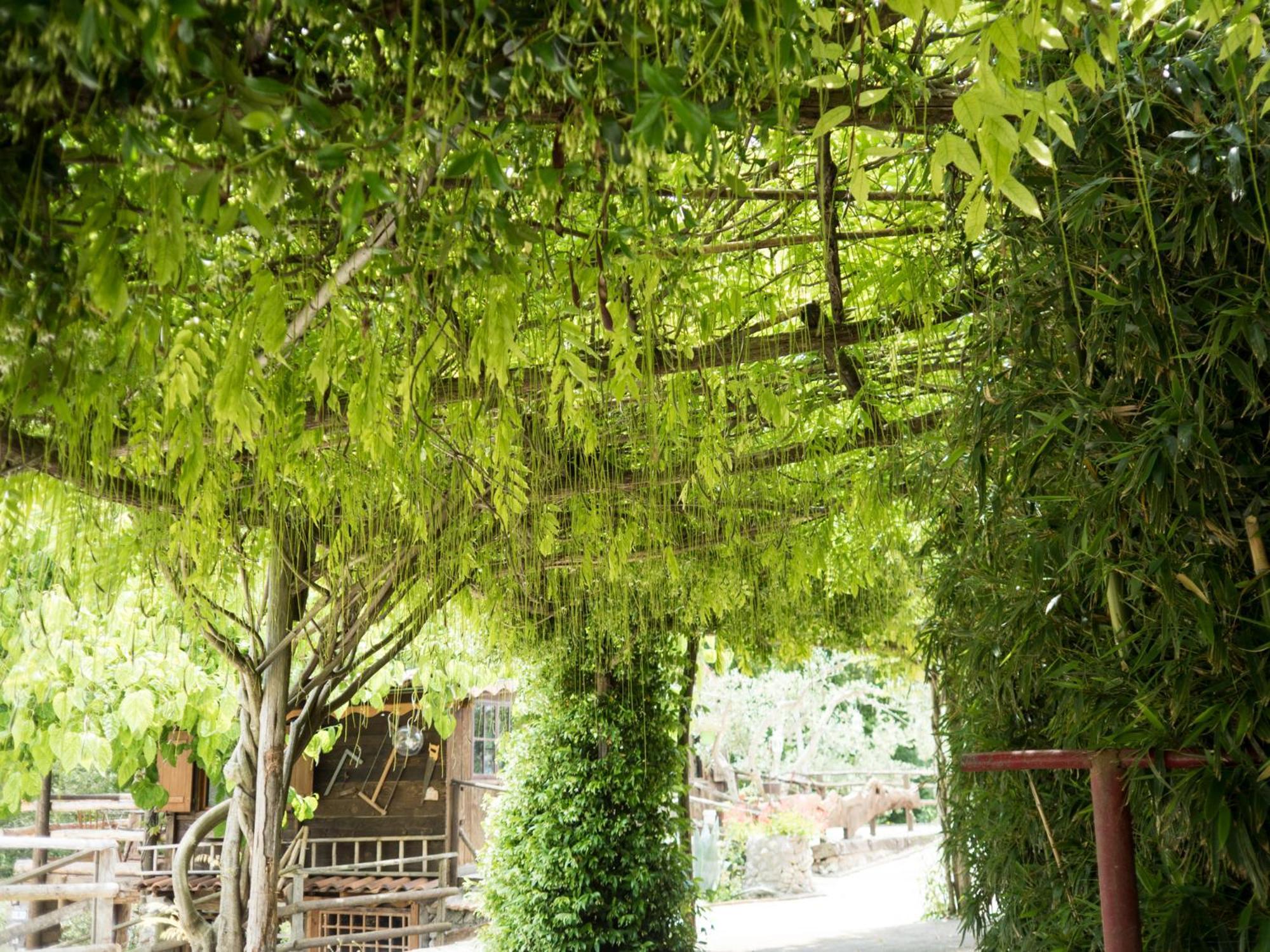 Villa De Luccheri Frasso Telesino Εξωτερικό φωτογραφία