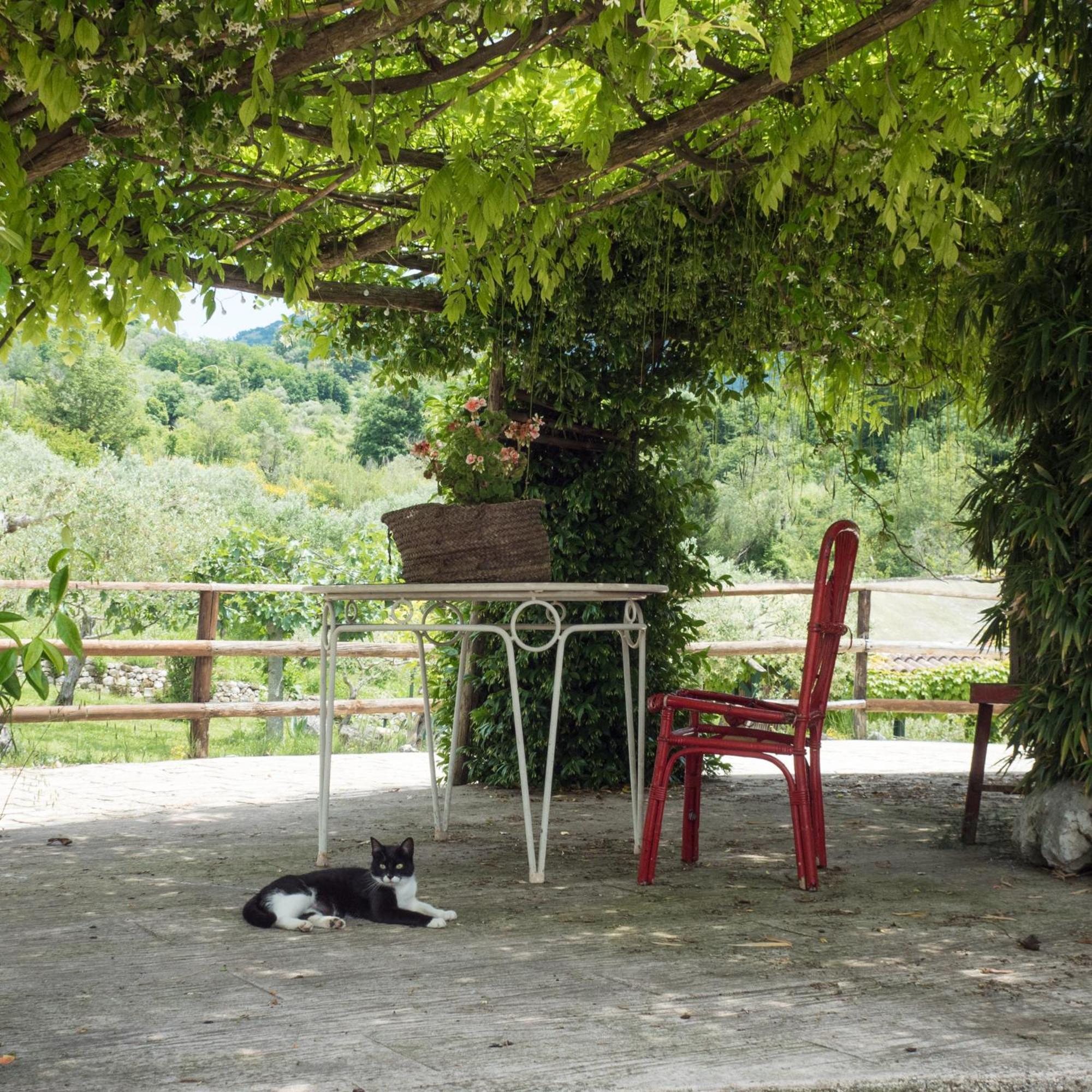 Villa De Luccheri Frasso Telesino Εξωτερικό φωτογραφία